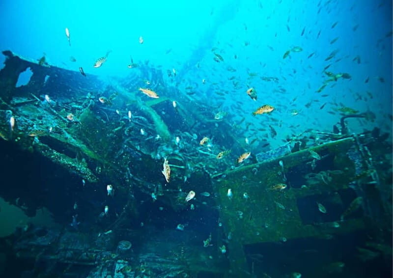 Blue Lagoon Island Bliss: A Full-Day with Lunch - Who Will Love This Tour?