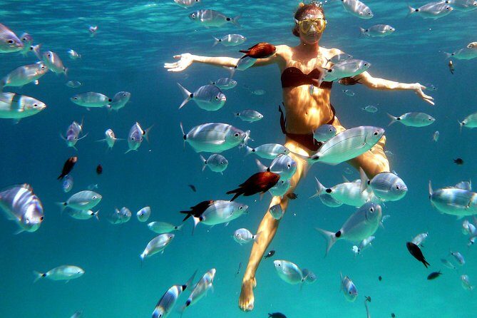 Boat and Snorkeling Private tour max 6 People - The Experience from the Reviews