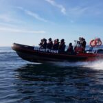 Boat Cruise to Algar de Benagil from Lagos - FAQs