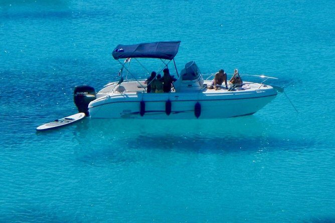 Boat Dolphins Safari and Snorkeling - Pricing and Value