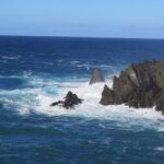 Boat Excursion to visit underwater lava tongues - Who Will Love This Tour?