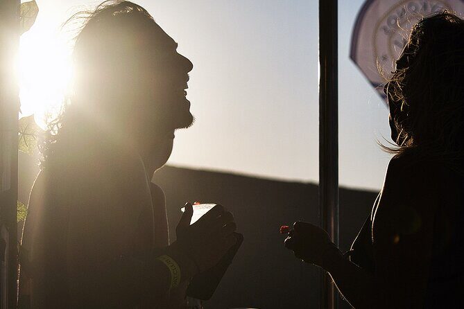 Boat Party with Swimming Stop Experience in Mykonos - Who Should Consider This Experience?