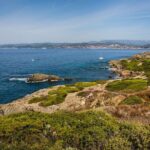 Boat to paradisiac island & electric bike tour from Sanary port - Final Thoughts: Is It Worth It?