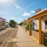 Boat Tour of 2 Ria Formosa Islands: Culatra and Armona - The Itinerary: From Culatra to Armona and Beyond