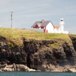 Boat Tour of Dingle Peninsula - Final Thoughts