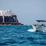Boat tour of the island of Ischia with goiter 7.50 meters - Who Will Love This Tour?