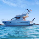 Boat trip and swimming in the sea - What We Loved About This Tour