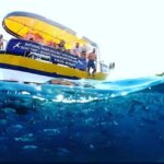 Boat Trip  Coastal Tour from Faana to Pula and snorkelling - Who Is This Tour Best For?