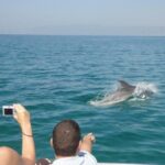 Boat Trip for Dolphin Watching along the Arrabida Coast and Sesimbra - Who Should Consider This Tour?
