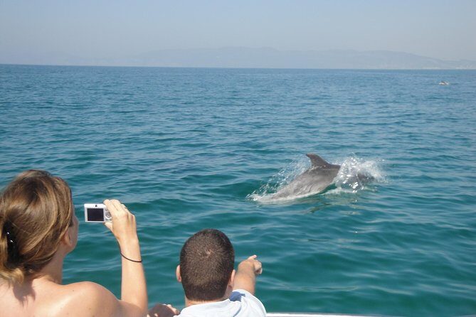 Boat Trip for Dolphin Watching along the Arrabida Coast and Sesimbra - Who Should Consider This Tour?