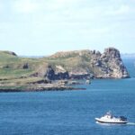 Boat Trip from Howth to Dun Laoghaire - Authentic Experiences and Real Passenger Feedback