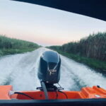 Boat Trip to Caraorman Forest  Danube Delta (5-6 hours) - A Deep Dive into the Experience