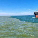 Boat trip to the Danube's mouth at the Black Sea - What to Expect During the Tour