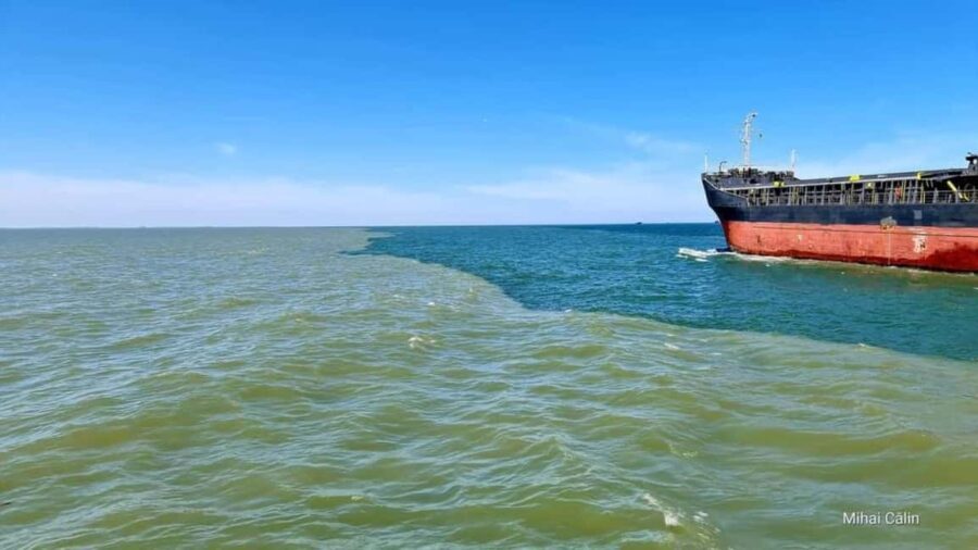 Boat trip to the Danube's mouth at the Black Sea - What to Expect During the Tour