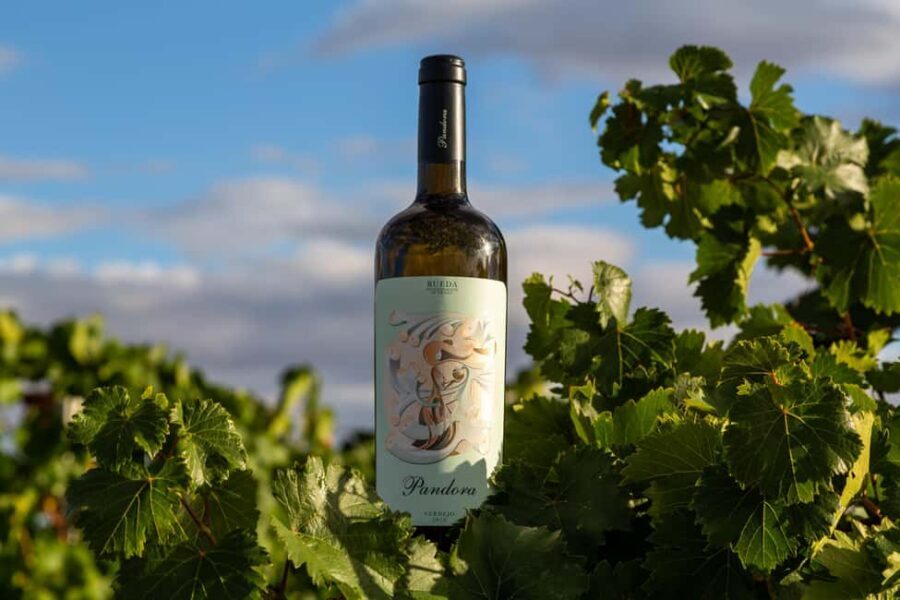 BODEGAS PANDORA: tour through the vineyards and winery with wine tasting. - Analyzing Value and Experience