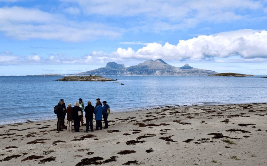 Bodø: Arctic Coastal Walk - First Impressions and Overall Experience
