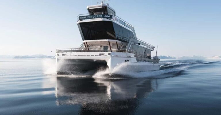 Bodø: Northern Lights Cruise - Value and Practical Considerations