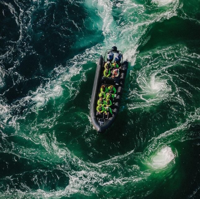 Bodø: Saltstraumen Sea Eagle Trip by RIB - What to Expect at Each Stop