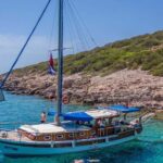 Bodrum: Bodrum Private Boat Tour for Cruise Customers - Why Choose This Tour?