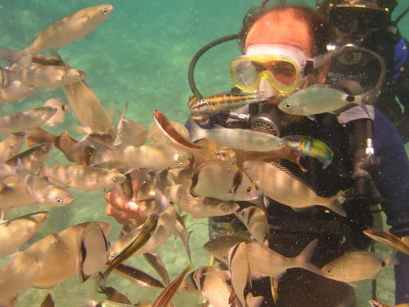 Bodrum diving day for advanced and beginner divers - What to Expect: A Day in the Marine Paradise