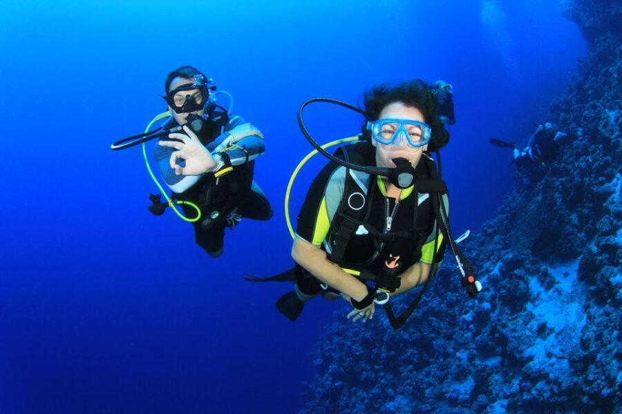 Bodrum: Full-Day Scuba Diving Tour - What You Can Expect on the Tour