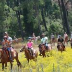 Bodrum Horse Riding Experience w/ Hotel Transfer Service - Practical Details and Considerations