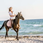 Bodrum: Horseback Riding Experience with Hotel Transfer - The Value of the Experience