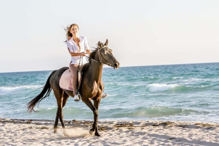 Bodrum: Horseback Riding Experience with Hotel Transfer - The Value of the Experience