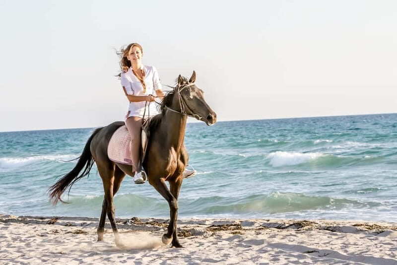 Bodrum: Horseback Riding Experience with Hotel Transfer - The Value of the Experience