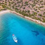 Bodrum Orak Island Boat Cruise with Lunch and Swimming - The Value of This Tour