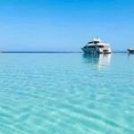 Bodrum: Orak Island Boat Trip with Lunch & Optional Transfer - Practical Tips for Your Trip