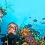 Bodrum: Scuba Diving Briefing & Diving Experience - Key Points