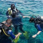 Bodrum Scuba Diving Tour With Free Hotel Transfer By Locals - Who Should Consider This Tour?