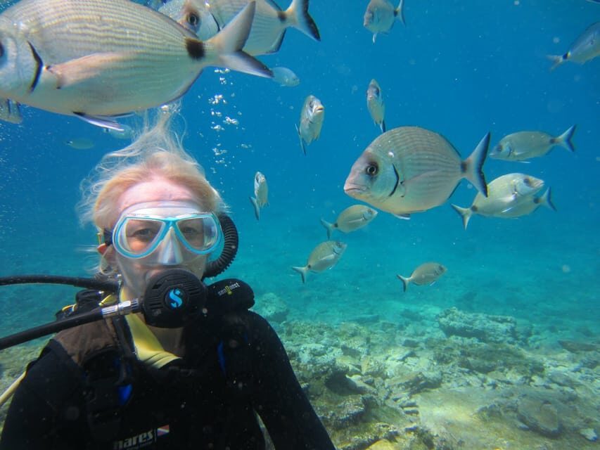 Bodrum: Scuba Diving Trip with Lunch - What to Expect from the Dive Itinerary