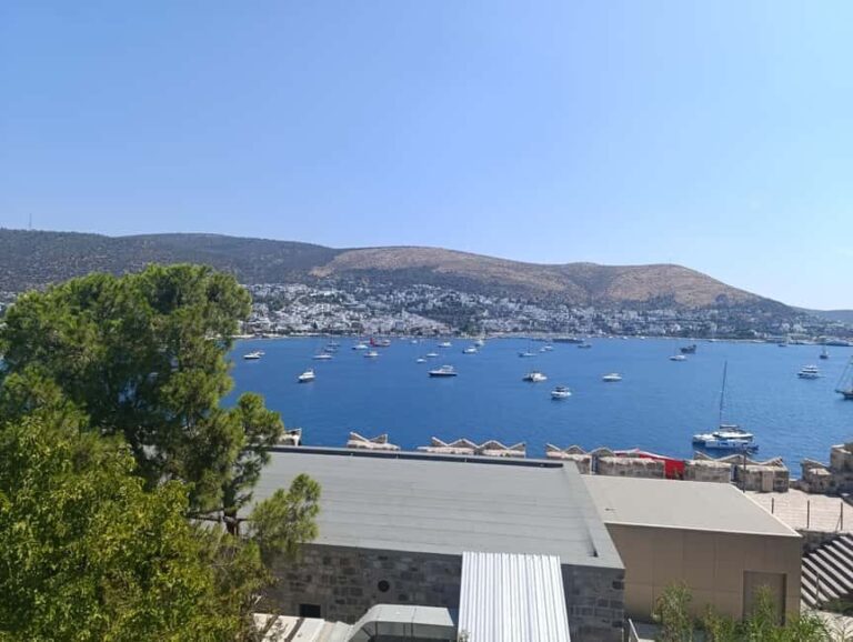 Bodrum St.Peters castle & Underwater Archeology Museum tour! - Why This Tour Is a Great Choice