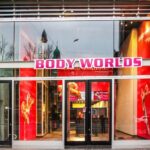 Body Worlds Amsterdam: The Happiness Project Ticket - An In-Depth Look at Body Worlds Amsterdam: The Happiness Project