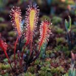 Bog-shoe Hiking Tour - What’s Included and What’s Not