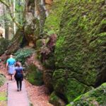Bohemian Paradise Private Hiking Tour - Day Trip From Prague - What Makes This Tour Stand Out?
