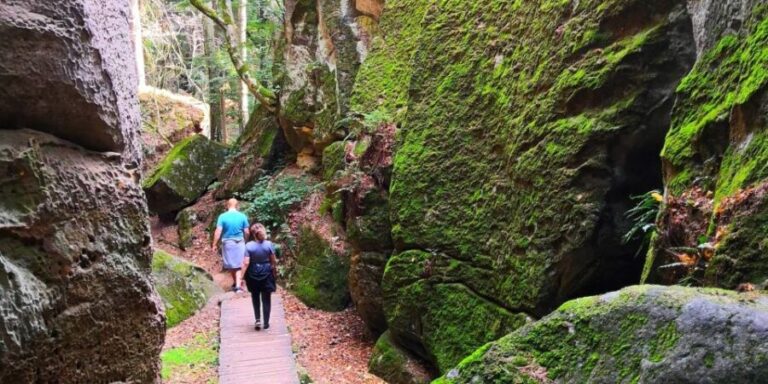 Bohemian Paradise Private Hiking Tour - Day Trip From Prague - What Makes This Tour Stand Out?
