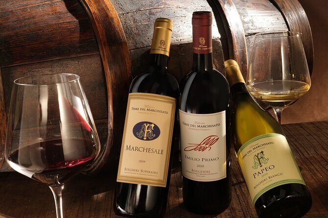 Bolgheri: Classic Wine Tasting with Winery Tour - Evaluating the Value & Practical Aspects