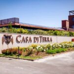 Bolgheri: guided visit of the winery and tasting of our wines - The Value of the Experience