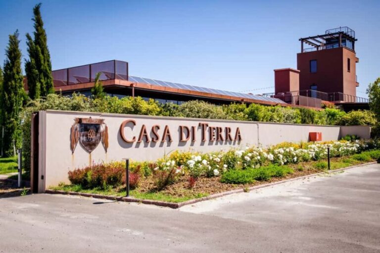 Bolgheri: guided visit of the winery and tasting of our wines - The Value of the Experience