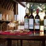 Bolgheri: Wine tasting at Podere Conca - Arrival and Meeting