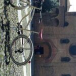 Bologna: Bike Rental - Who Is this Bike Rental Best For?