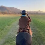 Bologna: Horseback Ride in the Bolognese Hills - Who Is This Tour Best For?