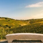 Bologna: Olive Grove and Vineyard Tour with Product Tastings - Who Would Love This Tour?