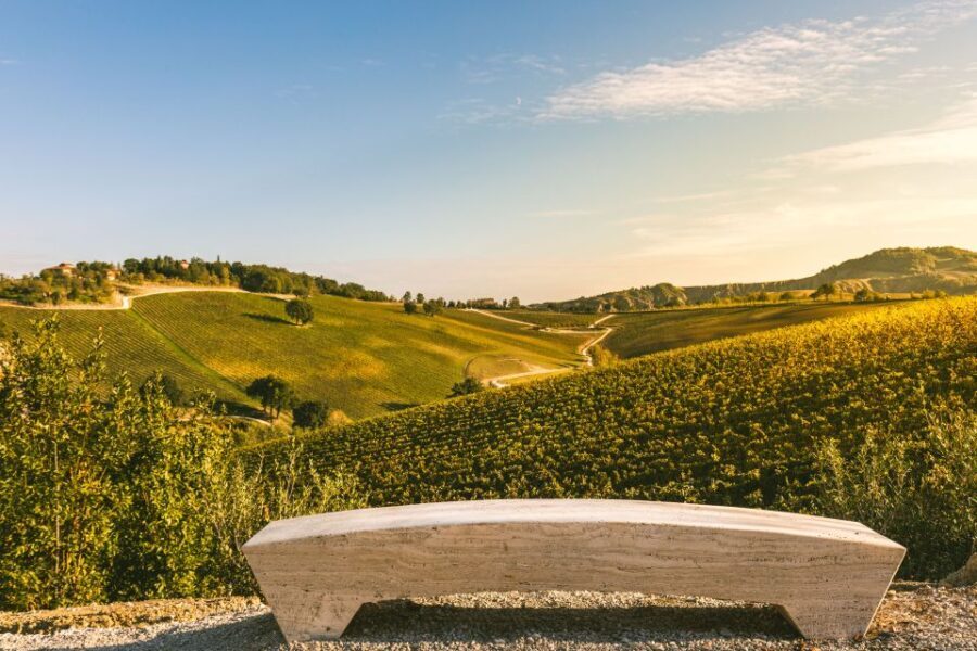 Bologna: Olive Grove and Vineyard Tour with Product Tastings - Who Would Love This Tour?