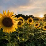 Bologna Surroundings Photo Tour: Rolling Hills and Badlands - Frequently Asked Questions