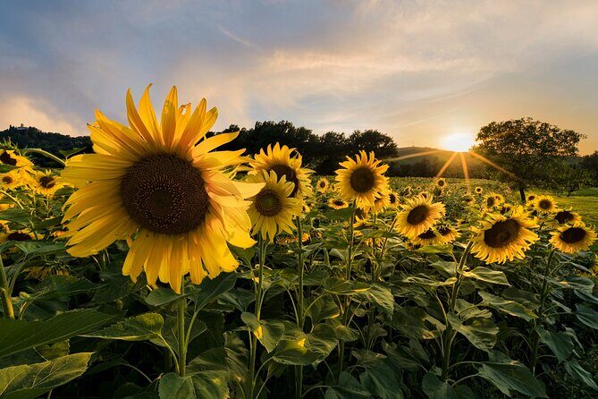 Bologna Surroundings Photo Tour: Rolling Hills and Badlands - Frequently Asked Questions
