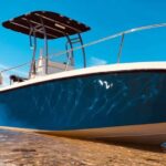 Bonifacio: croisière guidée et Snorkeling aux îles lavezzi - Practical Considerations & What to Know